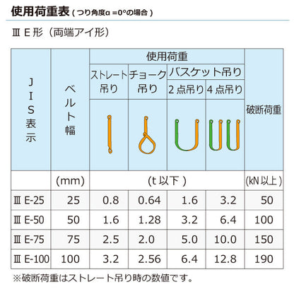 東レインターナショナル ナイロンスリング N3E 両端アイ形 0.8ton 幅25mm 長さ1m～10ｍ
