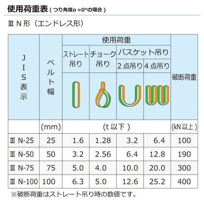 東レインターナショナル ナイロンスリング N3N エンドレス形 6.3ton 幅100mm 長さ1m～5ｍ