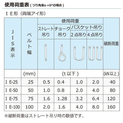 東レインターナショナル ケミカルスリング C1E 両端アイ形 2ton 幅100mm 長さ1.5m～10ｍ