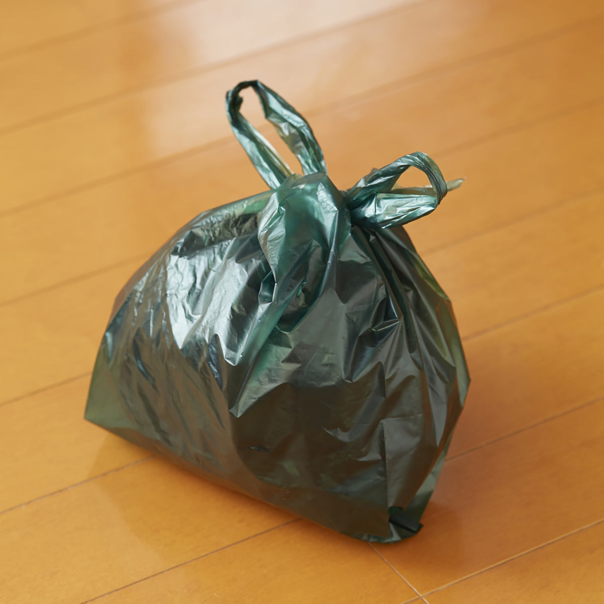 災害時の緊急トイレ　10回分　ダブル抗菌消臭