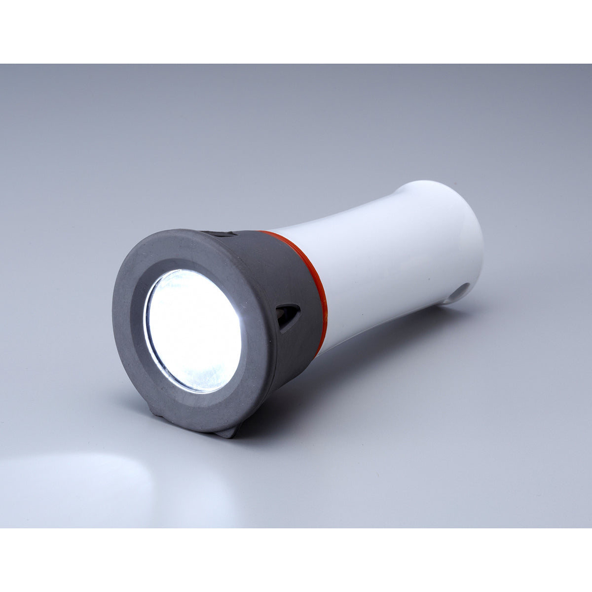 単3と単1が使える防水ライト