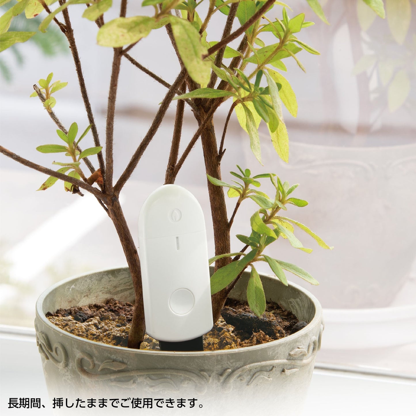 土壌水分チェッカー  L  LED三色表示