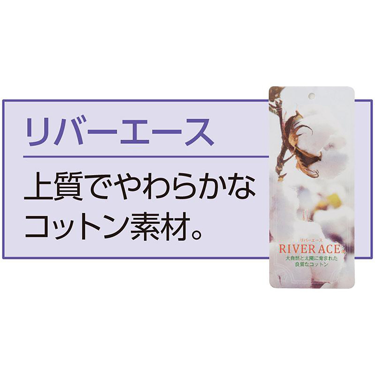 5分袖タックボーダージャカードＴシャツ ネイビー M/L/LL