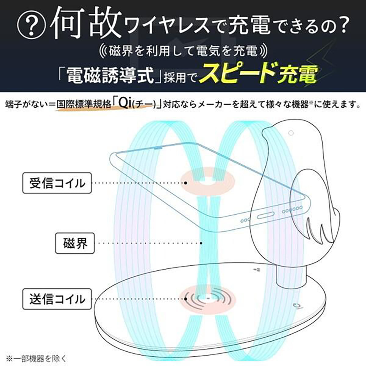 wasser ヒーリングLEDライト 鳥型 Qi充電対応 インテリア照明 ホワイト