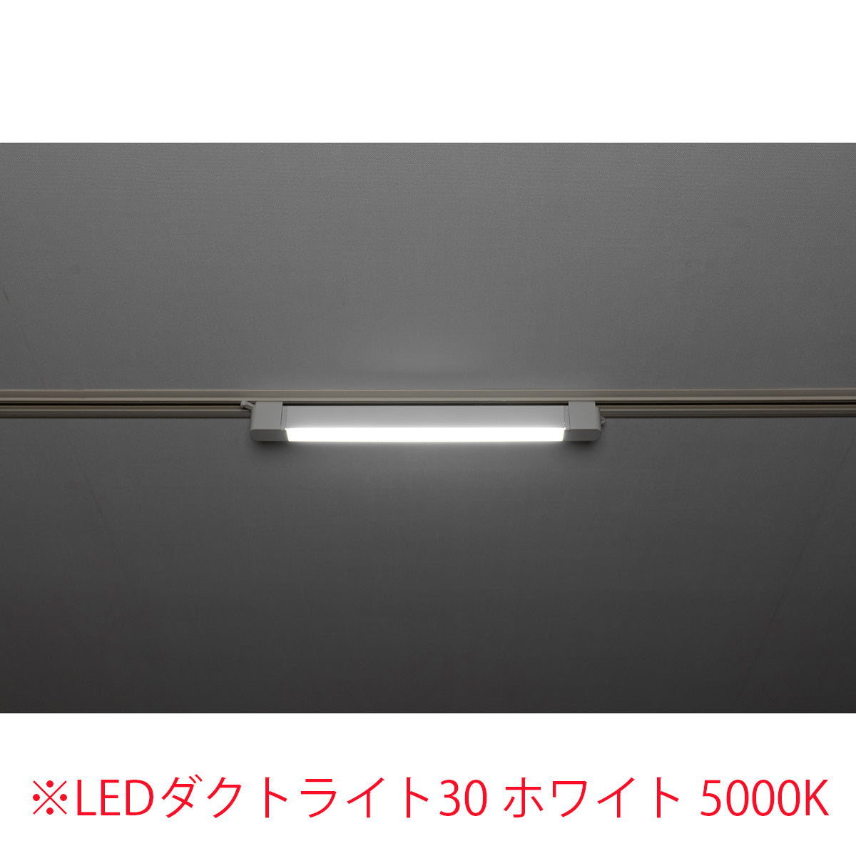 スイングライン LEDダクトライト30 ブラック 5000K
