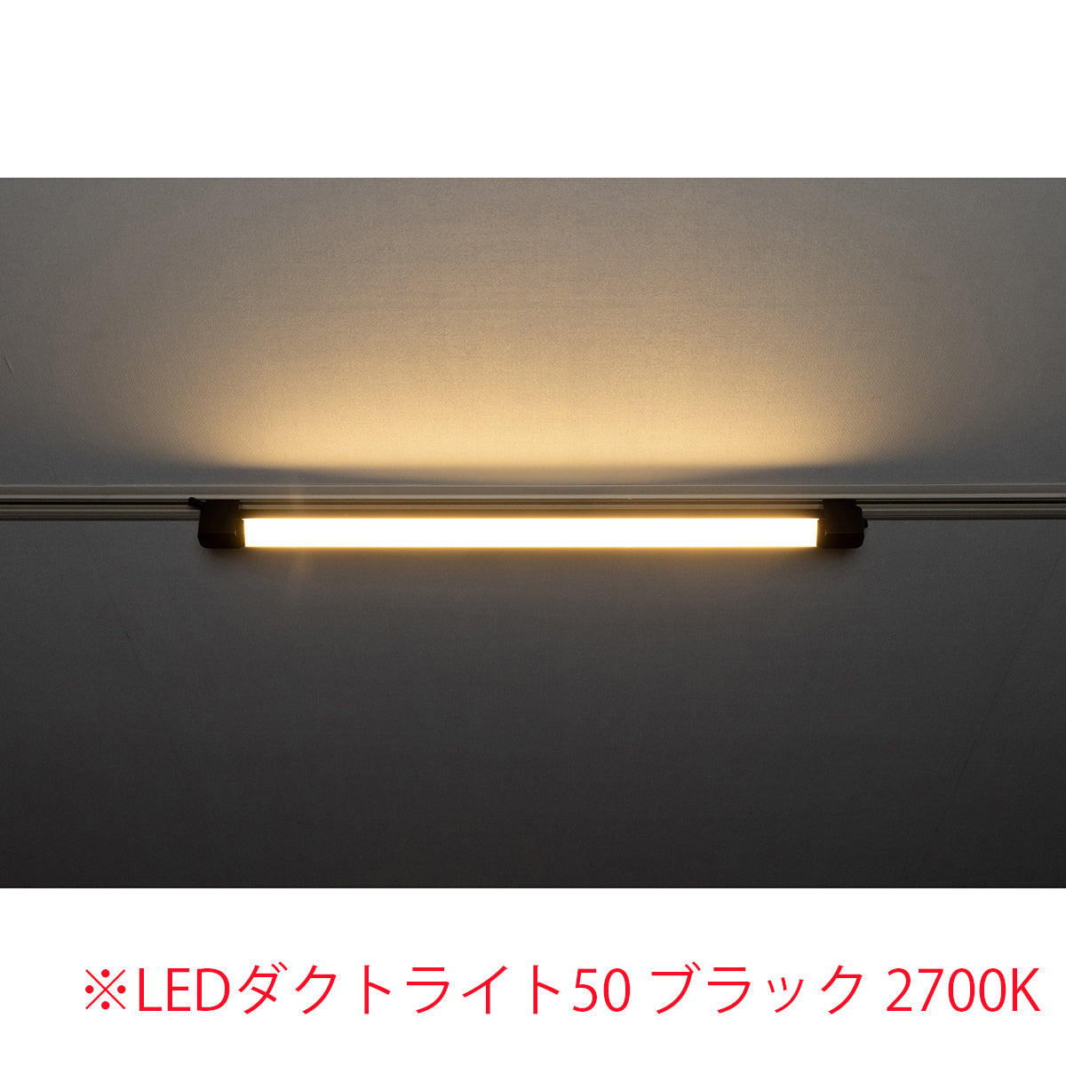 スイングライン LEDダクトライト30 ブラック 5000K