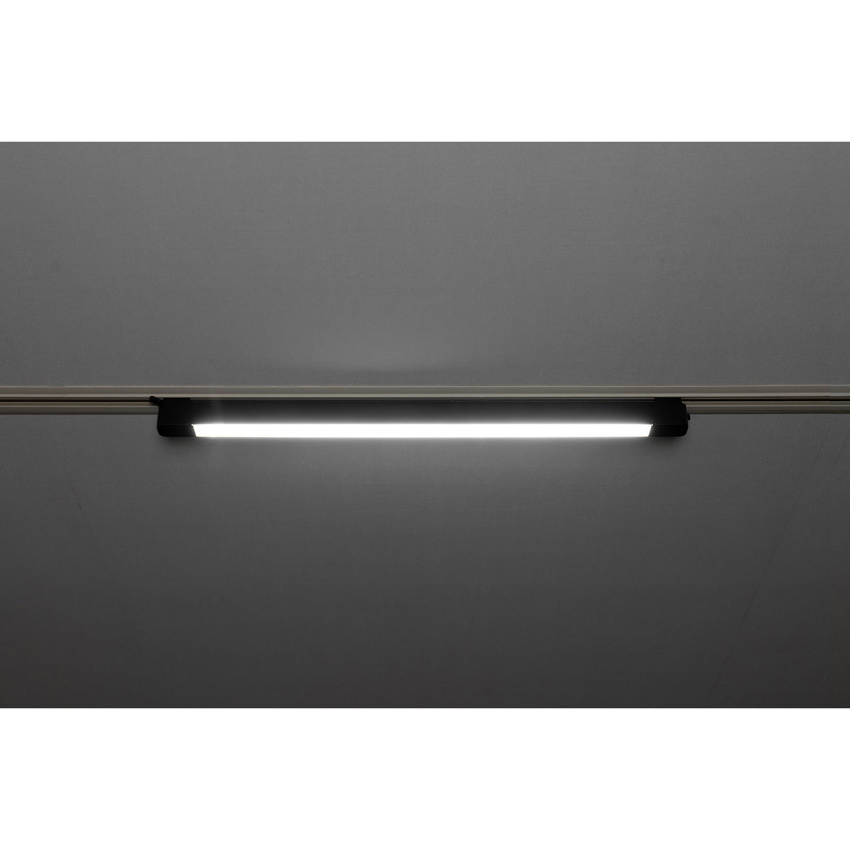 スイングライン LEDダクトライト50 ホワイト 5000K