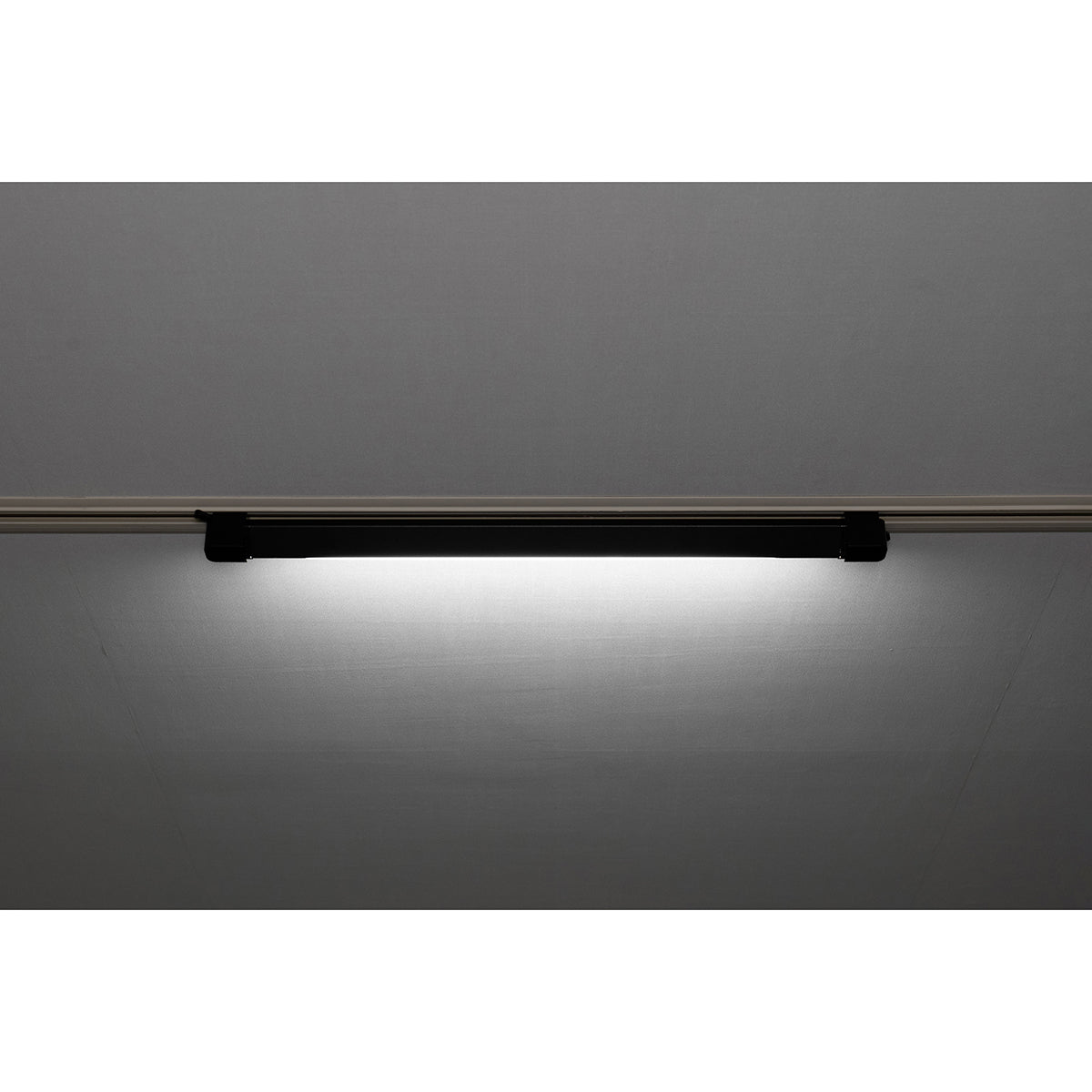 スイングライン LEDダクトライト50 ホワイト 5000K
