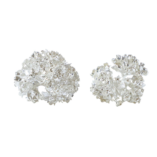 nicodesign パセリピアス シルバー
