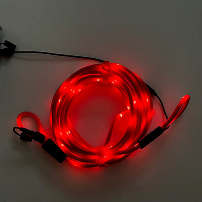 あかリン　LEDひもロープ　10M　単品