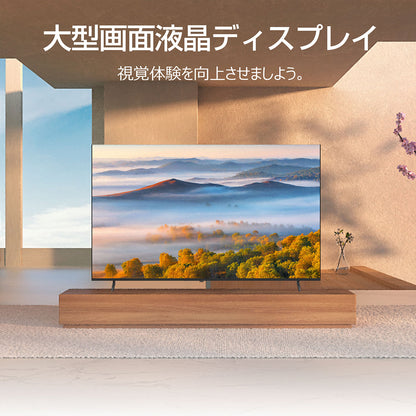 ６５インチ　４Ｋモニター　スピーカー付