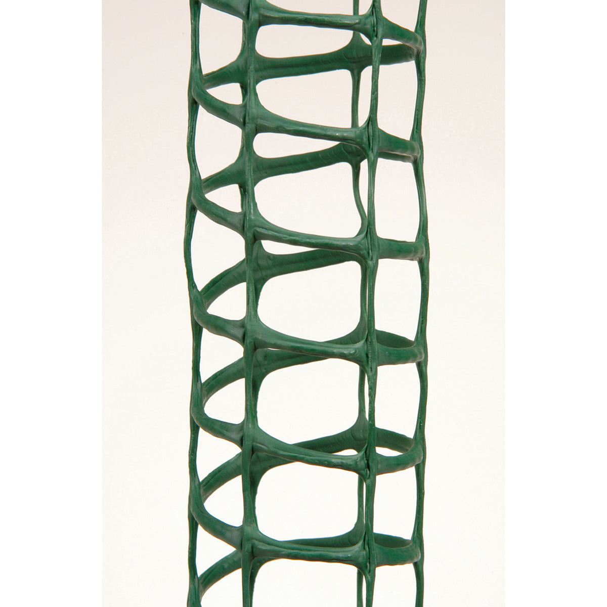 プラヘゴ 観葉植物 誘引 55Φ×60cm　36本セット