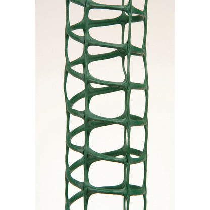 プラヘゴ 観葉植物 誘引 55Φ×90cm　36本セット