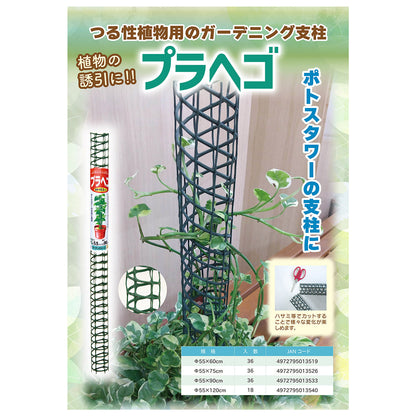 プラヘゴ 観葉植物 誘引 55Φ×75cm　36本セット
