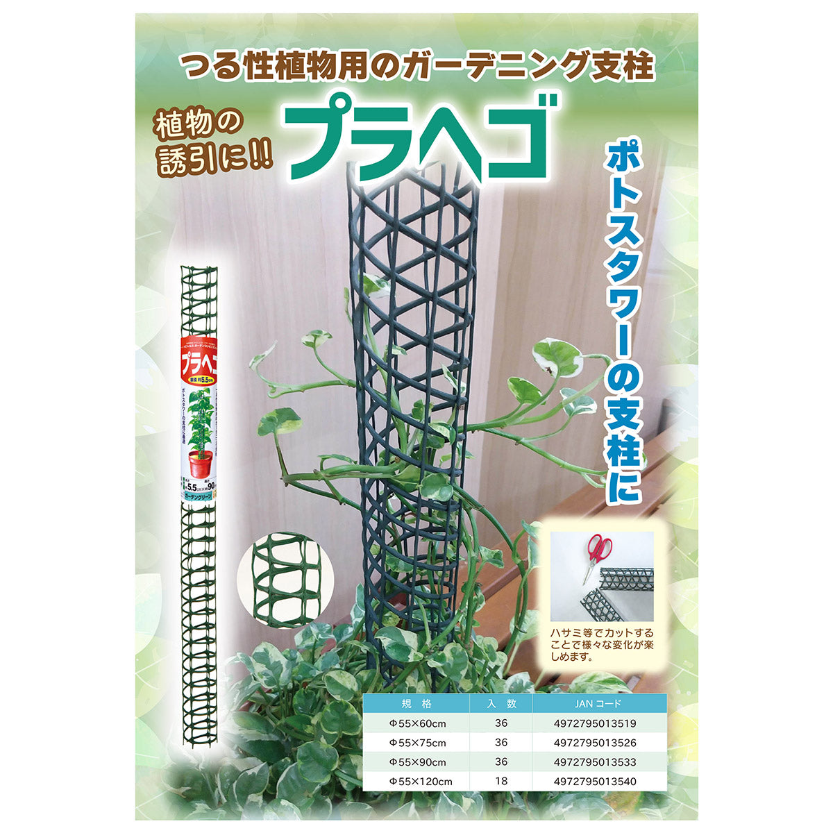 プラヘゴ 観葉植物 誘引 55Φ×90cm　36本セット