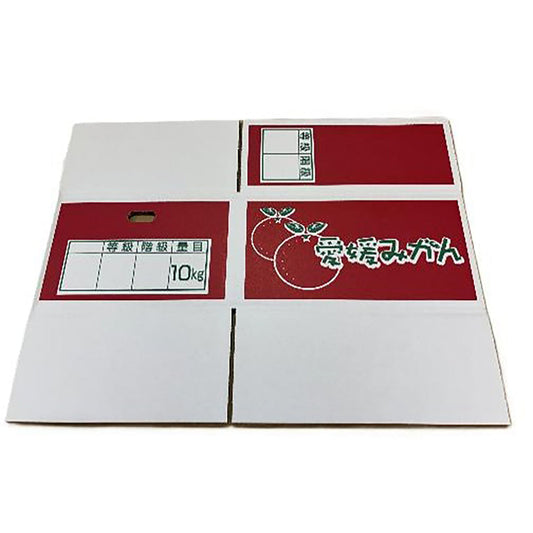 ミカン段ボール箱 10kg 10枚セット