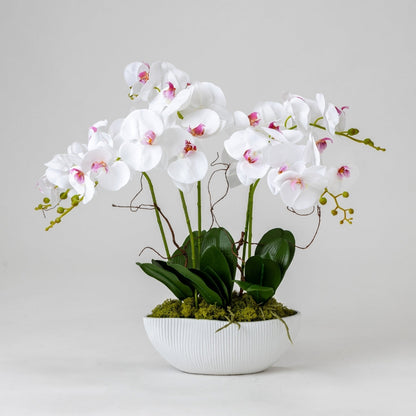 造花　胡蝶蘭　ファレノ サンク