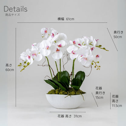造花　胡蝶蘭　ファレノ サンク
