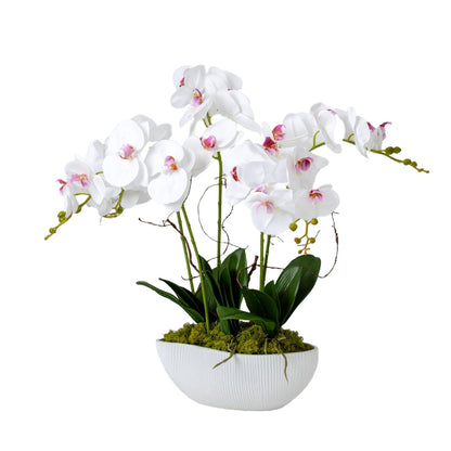 造花　胡蝶蘭　ファレノ サンク
