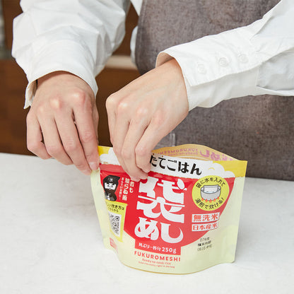 袋めし　無洗米　250g×30袋　真空パック　日本産米