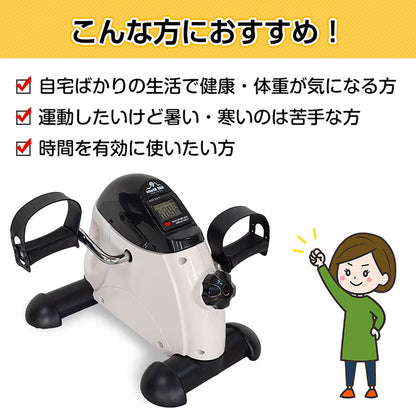 ミニフィットネスバイク エクササイズ