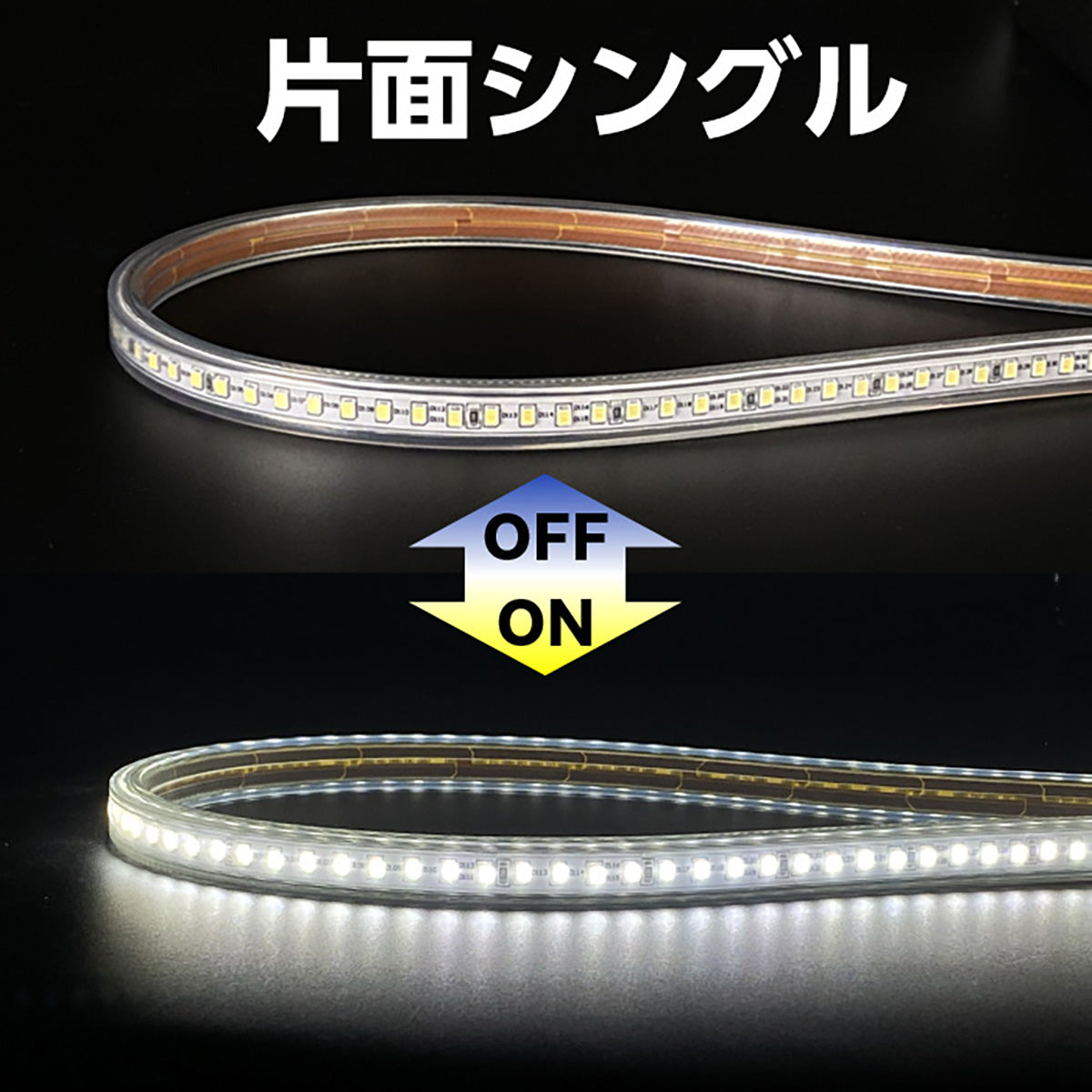 スネークライト　片面　シングル　10m　セット