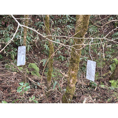 激臭　クマなぜ逃げる？　熊対策　4個入