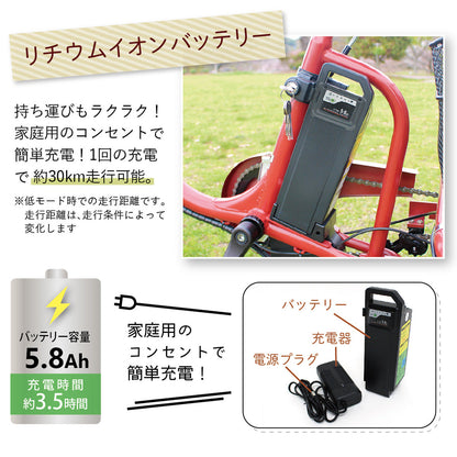 E-PARTON（イーパートン） ロータイプ電動アシスト三輪自転車　ホワイト　配送のみ/組立サービス付き(選択可能)