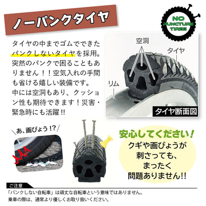 ACTIVE　PLUS(アクティブプラス)ノーパンク三輪自転車L　ワインレッド　配送のみ/組立サービス付き(選択可能)