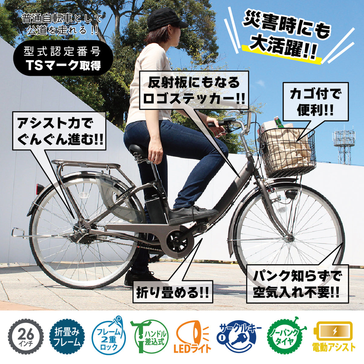 ACTIVEPLUS(アクティブプラス)ノーパンク電動アシスト　スモークシルバー　FDB26EB