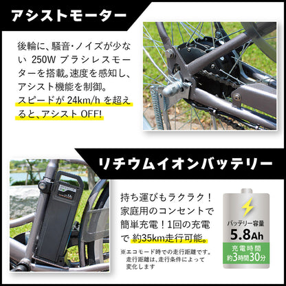 ACTIVEPLUS(アクティブプラス)ノーパンク電動アシスト　スモークシルバー　FDB26EB
