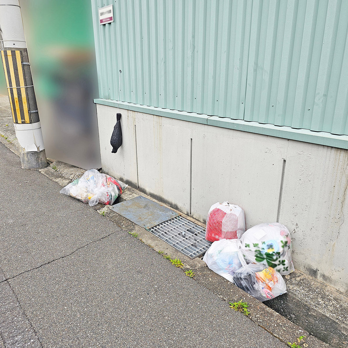 コワガラス　カラス除け