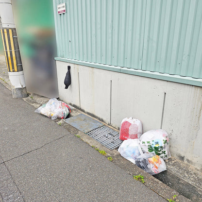コワガラス　カラス除け