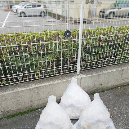 とり去－るブラック　鳥よけ　紐付き　2個入り