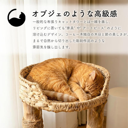 Harry Barker【天然木使用】キャットタワー Oscar 2段 70×40×70cm おしゃれ ラタン調 爪とぎ付き 据え置き型 コンパクト 猫タワー 室内用