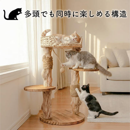 Harry Barker【天然木使用】キャットタワー Oscar 2段 70×40×70cm おしゃれ ラタン調 爪とぎ付き 据え置き型 コンパクト 猫タワー 室内用
