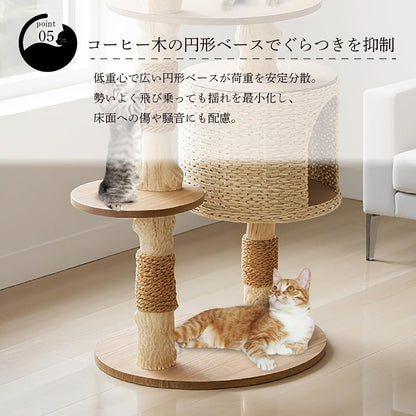 Harry Barker【天然木使用】キャットタワー Jasper 3段 78×52×135cm おしゃれ ラタン調 爪とぎ・ハウス付き 多頭飼い対応 据え置き型 猫タワー 室内用