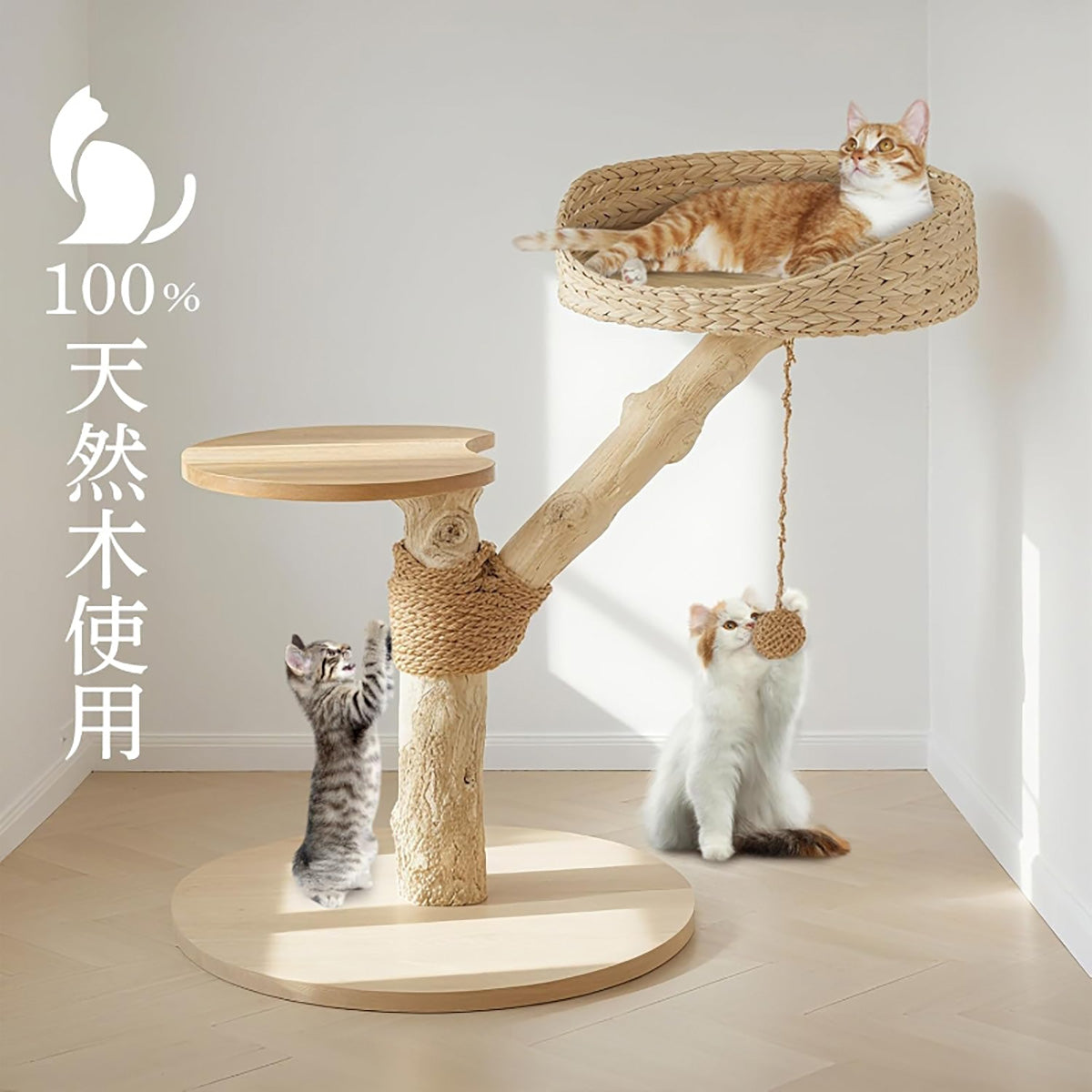 Harry Barker【天然木使用】キャットタワー Apollo 2段 68×50×64cm おしゃれ ラタン調 爪とぎ付き コンパクト 据え置き型 猫タワー 室内用
