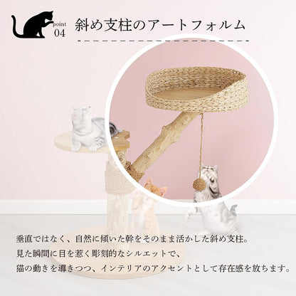 Harry Barker【天然木使用】キャットタワー Apollo 2段 68×50×64cm おしゃれ ラタン調 爪とぎ付き コンパクト 据え置き型 猫タワー 室内用