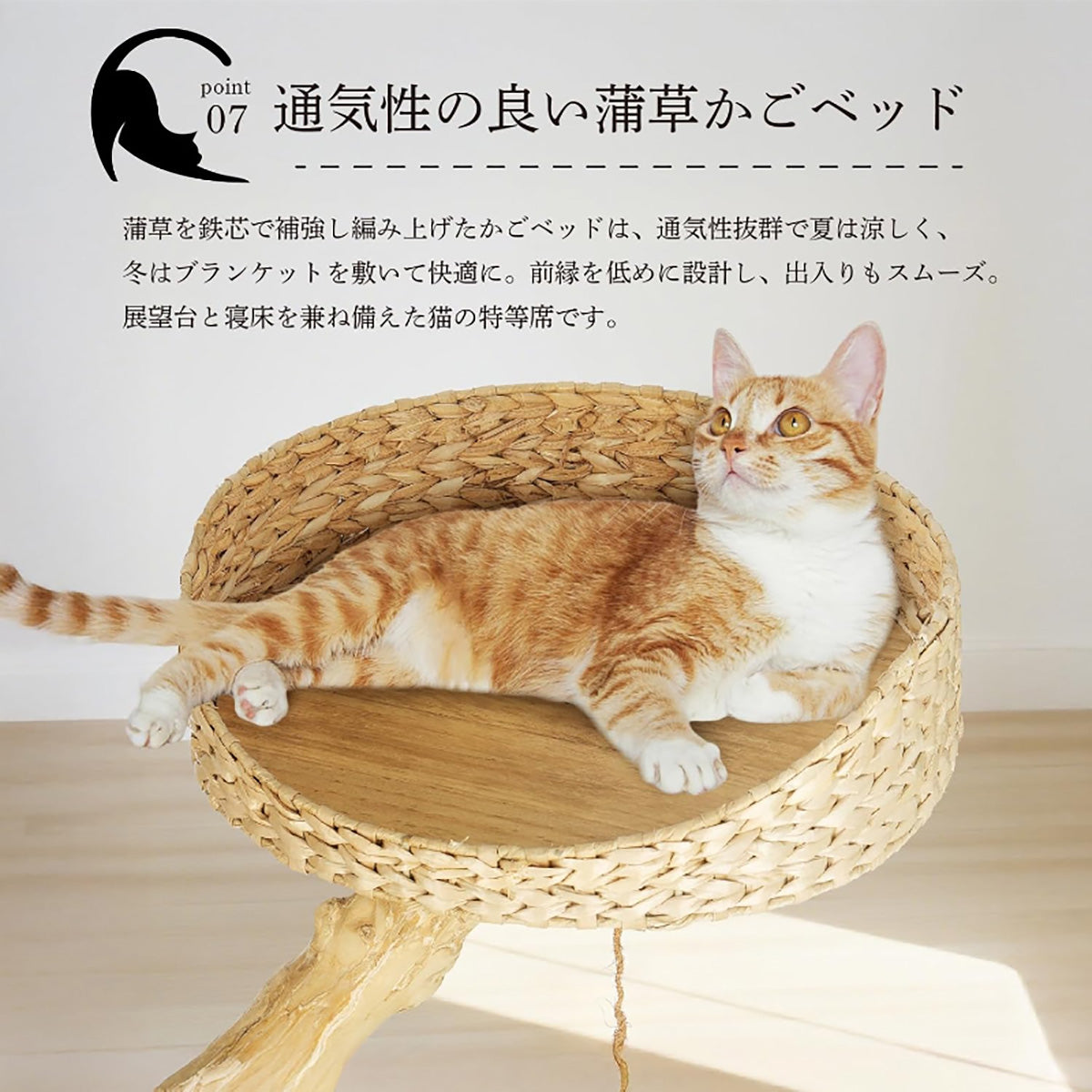 Harry Barker【天然木使用】キャットタワー Apollo 2段 68×50×64cm おしゃれ ラタン調 爪とぎ付き コンパクト 据え置き型 猫タワー 室内用