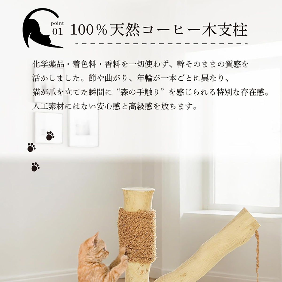 Harry Barker【天然木使用】キャットポール Stella 40×40×37cm 爪とぎ付き おもちゃ付き コンパクト 据え置き型 猫タワー 子猫・シニア猫用