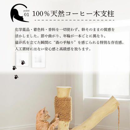 Harry Barker【天然木使用】キャットポール Stella 40×40×37cm 爪とぎ付き おもちゃ付き コンパクト 据え置き型 猫タワー 子猫・シニア猫用