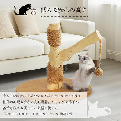 Harry Barker【天然木使用】キャットポール Stella 40×40×37cm 爪とぎ付き おもちゃ付き コンパクト 据え置き型 猫タワー 子猫・シニア猫用