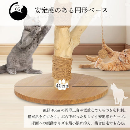 Harry Barker【天然木使用】キャットポール Stella 40×40×37cm 爪とぎ付き おもちゃ付き コンパクト 据え置き型 猫タワー 子猫・シニア猫用
