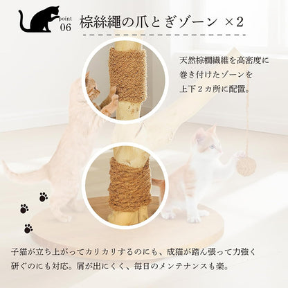 Harry Barker【天然木使用】キャットポール Stella 40×40×37cm 爪とぎ付き おもちゃ付き コンパクト 据え置き型 猫タワー 子猫・シニア猫用
