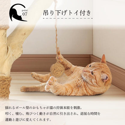 Harry Barker【天然木使用】キャットポール Stella 40×40×37cm 爪とぎ付き おもちゃ付き コンパクト 据え置き型 猫タワー 子猫・シニア猫用