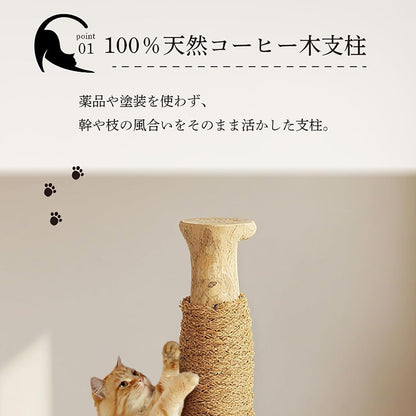 Harry Barker【天然木ポール】キャットトイ Sofia 爪とぎ＆ボールトラック 猫用おもちゃ コンパクト 28×28×33cm