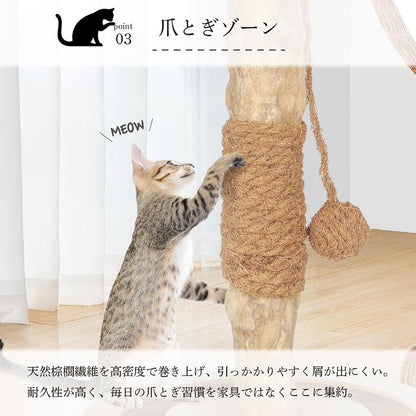 Harry Barker【天然木ポール】キャットトイ Sofia 爪とぎ＆ボールトラック 猫用おもちゃ コンパクト 28×28×33cm