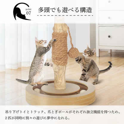 Harry Barker【天然木ポール】キャットトイ Sofia 爪とぎ＆ボールトラック 猫用おもちゃ コンパクト 28×28×33cm