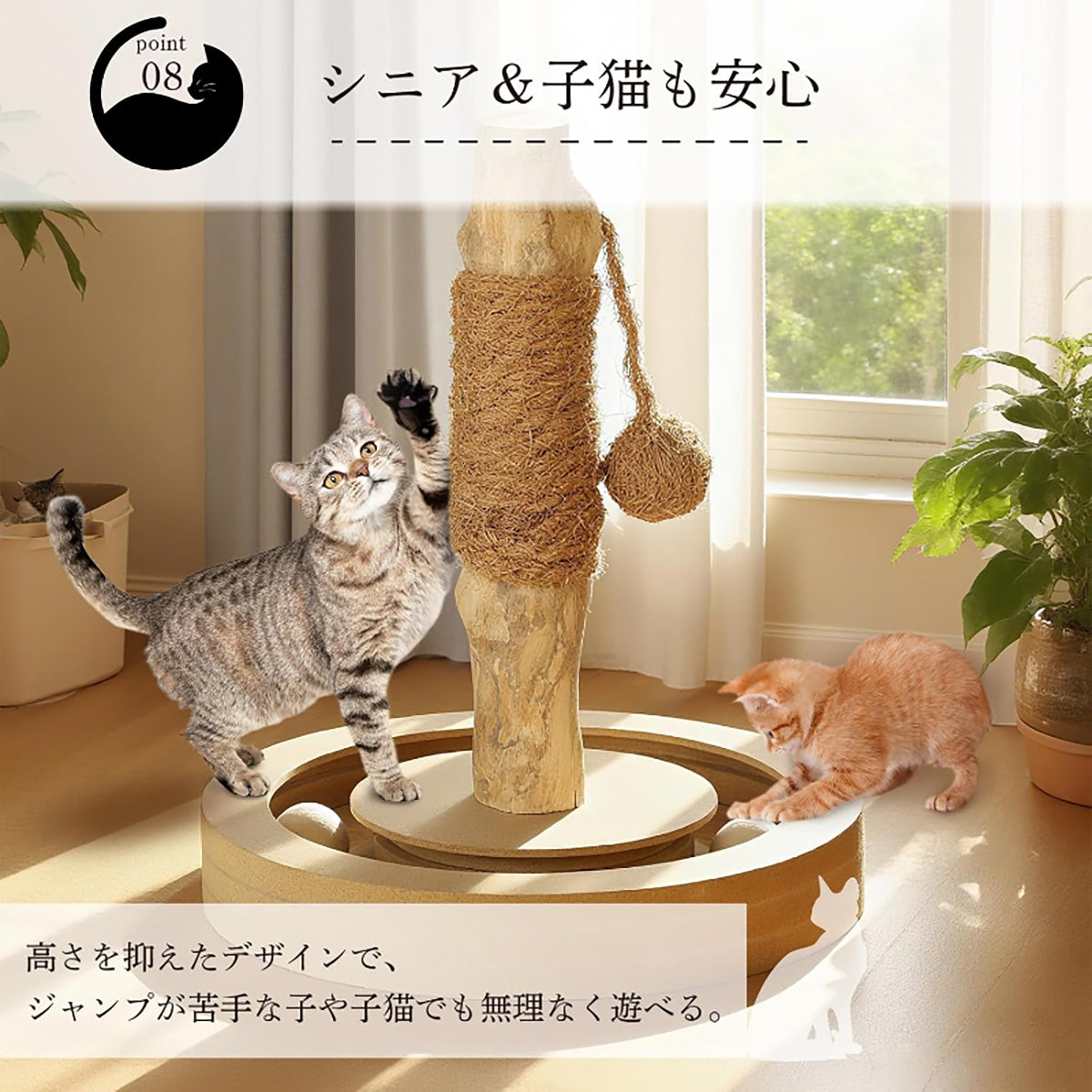 Harry Barker【天然木ポール】キャットトイ Sofia 爪とぎ＆ボールトラック 猫用おもちゃ コンパクト 28×28×33cm